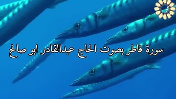 سورة فاطر بصوت الحاج عبدالقادر ابو صالح