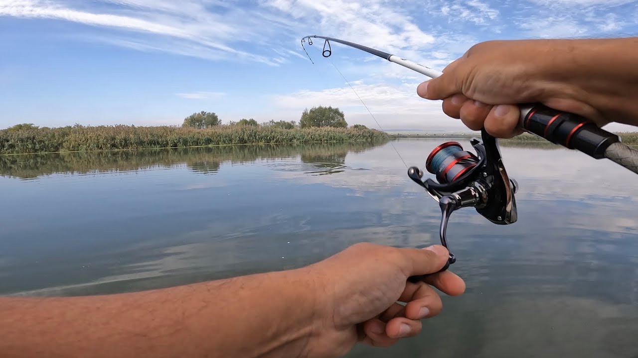 Pescuit la spinning un Avat nervos👀🐟🎣