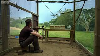 A Smartest Bird Raven Solves the Puzzle By Its Intelligents screenshot 3