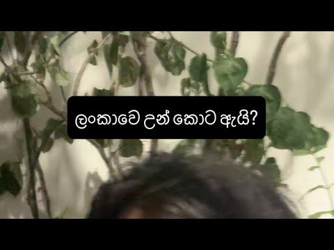 ලංකාවෙ උන් කොට ඇයි? #rizrazak
