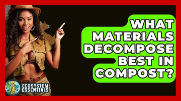 What Materials Decompose Best In Compost? - Ecosystem Essentials