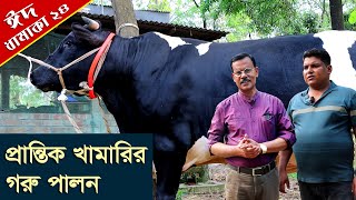 1016-এবার প্রান্তিক খামারীর বড় ষাড় গরু দেখুন, গাজীপুর -র.ই মানিক চিত্রপুরী Chitrapuri Krishichitra