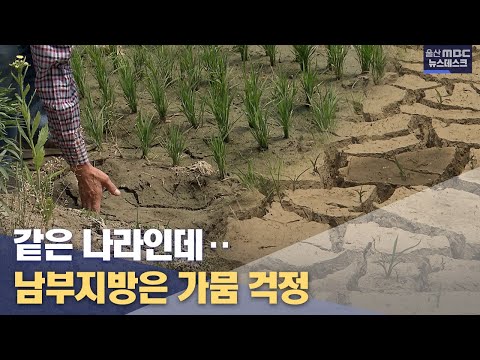 남부지방은 가뭄 걱정..마을 단수까지 (2022.08.10/뉴스데스크/울산MBC)