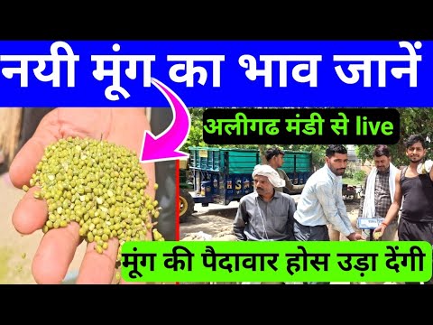 New Moong price in Aligarh || New Moong rate || Today's Moong price || Moong farming