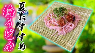 梅が練りこまれたピンクのうどん麺が美味しかった！！