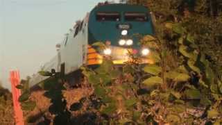 Nikon 70-210mm F4 Ai-S Series E Zoom - Hidden Gem D5200 64mbps Hack screenshot 3