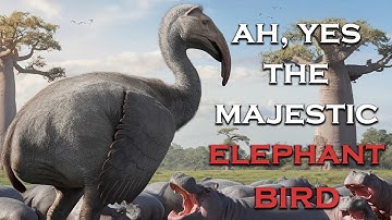 This AI Sludge Video Is For The Birds