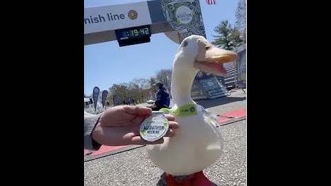 Search, Nav & Support Iteration Plan - FY23Q4, Week 6-8