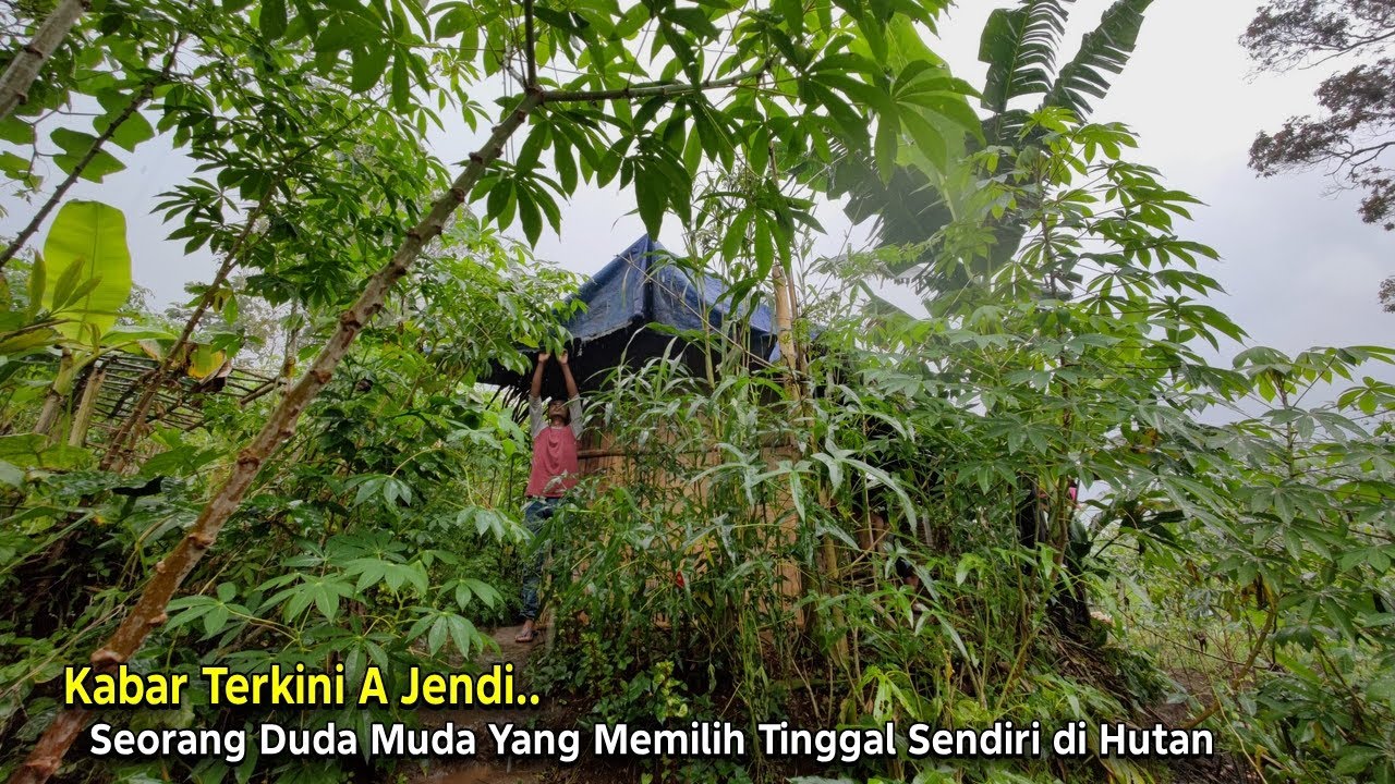 Demi Hidup Tenang.. Setelah Bercerai Seorang Duda Muda Memilih Tinggal di Hutan di Saung Kecil