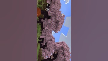 Minecraft #funkopop #funk #funko