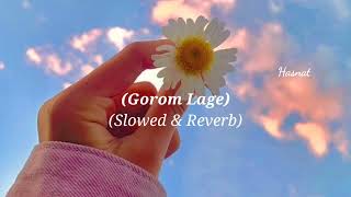Gorom Lage Slowed & Reverb Version Hasnat