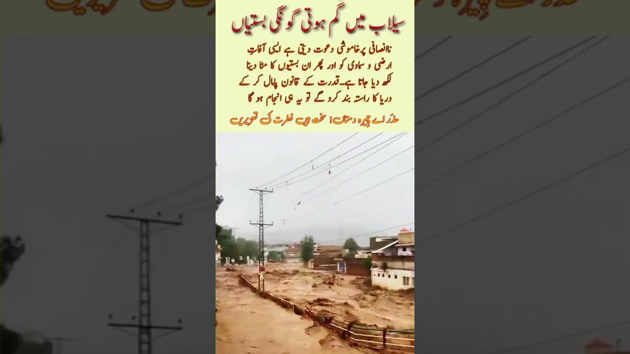 "Terrifying Flood in Punjab | Extreme Weather Disaster 2025