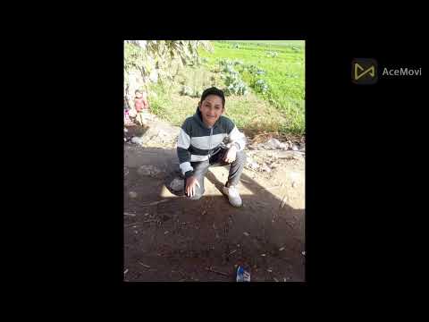 مع احترامي للي مقاويك