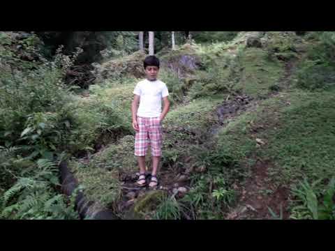 დათვალიერება #2