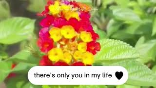 In My Life —Ariel Rivera # Music And Lyrics With Qoutes