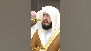 (سورة التين ) الشيخ بندر بليلة