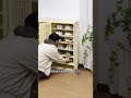 Stylish &amp; Spacious Bamboo Shoe Storage#feedshorts #shortvideo #diy