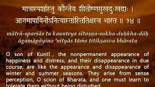 Imposing social equality or inspiring individual spirituality? Gita 02.14 || Chaitanya Charan screenshot 5
