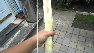 snake bow build along part 4: rough tillering and fixing the plane