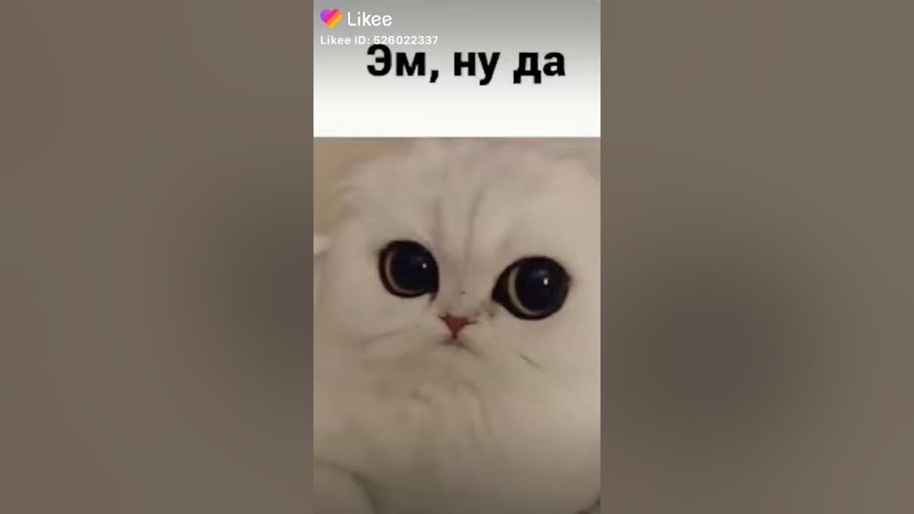Грич - YouTube