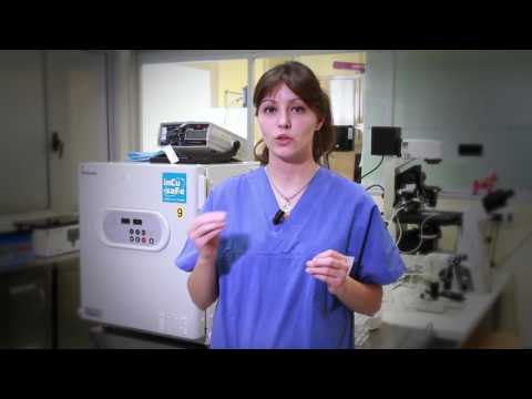 Video: Differenza Tra IVF E ICSI