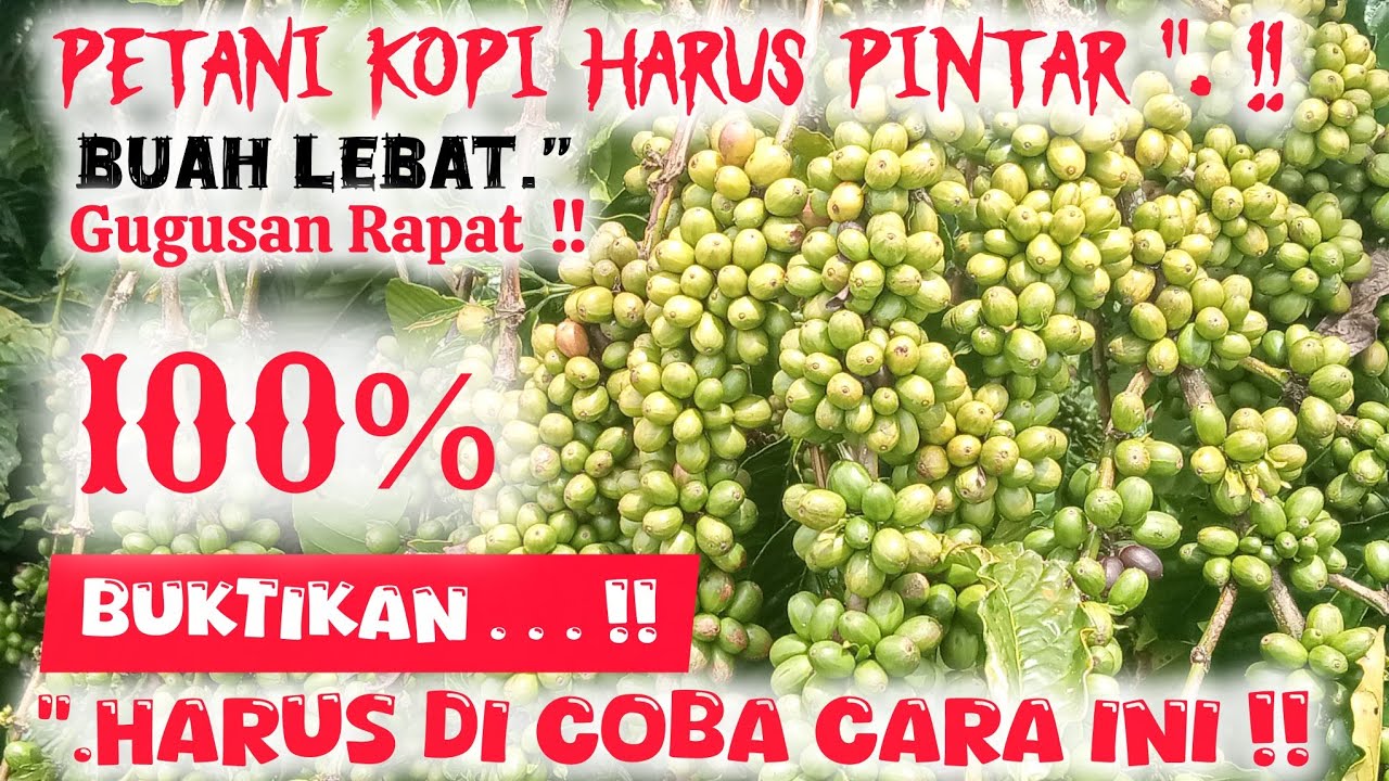 💫 BUKTIKAN ‼️CARA BARU 