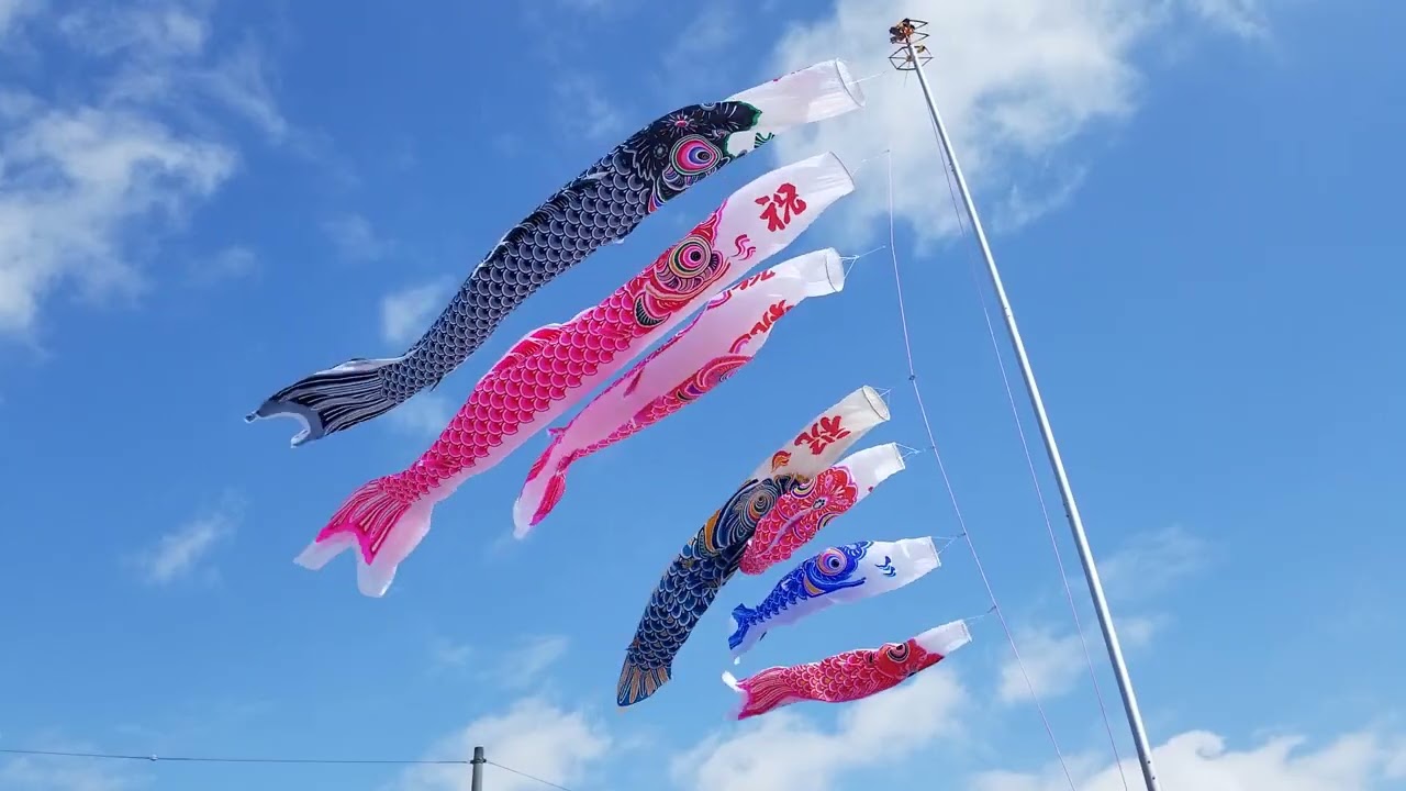 maxresdefault.jpg?sqp=-