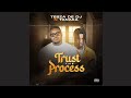 Tebza de dj  trust the process feat tanaka official audio