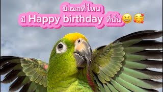 โทรมาร้อง Happy birthday ให้แม่ฟังแหล่ะ🤣 #เฌอแตม #เฌอแตมลูกแม่จ๋า #นกพูดได้ #parrot #bird