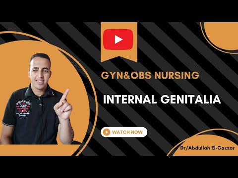 Internal Genitalia ميديول 1 تمريض النسا والتوليد 