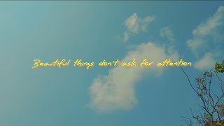 Beautiful things don't ask for attention - #sedescinematic