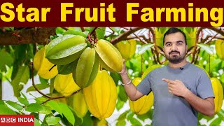 Star fruit farming | 3 Lakh Income Per Acre | Carambola Farming | Star Fruit ki kheti | kamranga