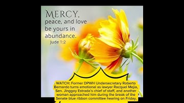 WATCH: Former DPWH Undersecretary Roberto Bernardo turns emotional as lawyer