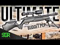 Best budget pcp  review after 1 year of use  gamo arrow 22