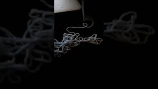 Silly string ASMR