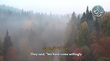 الايات (9-12) من سورة فصلت بصوت القارئ عمر طه - من فلسطين