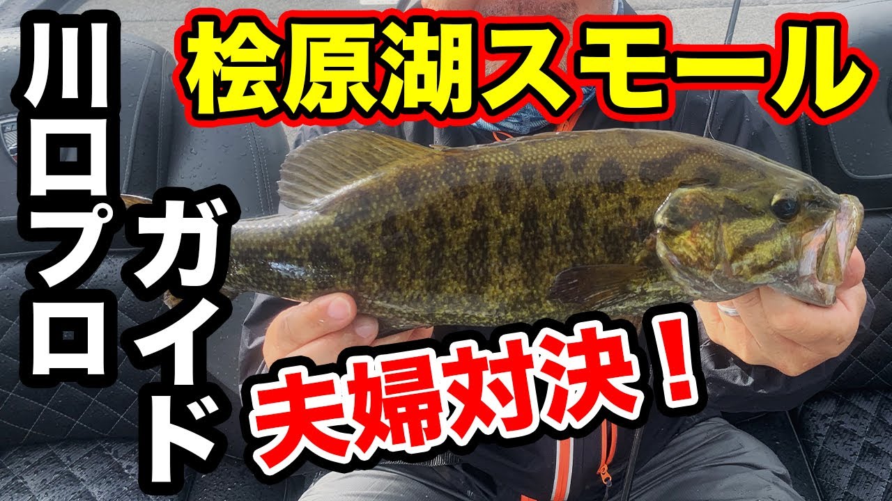真夏の桧原湖 川口直人プロのガイドで夫婦対決 結果はいかに バス釣り スモールマウスバス 直tv Youtube