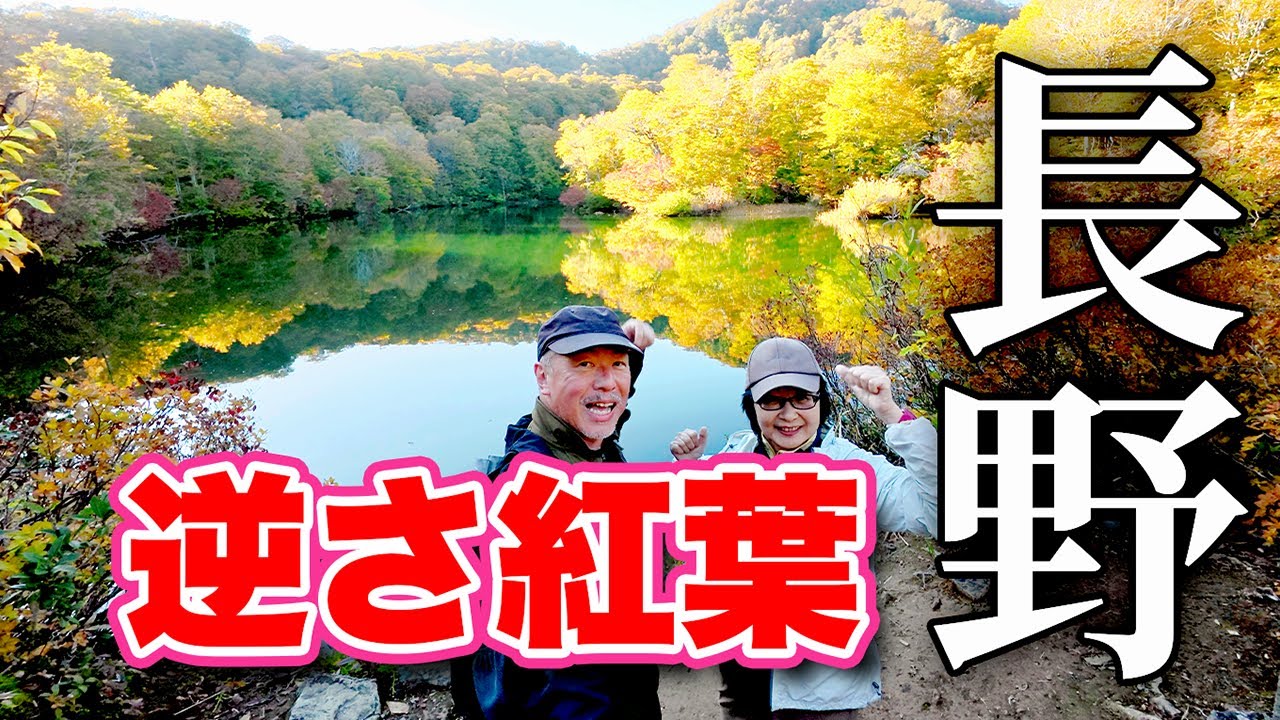Upside-down autumn leaves! [Breathtaking view] Visiting the