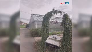 Achtung, Veitshöchheim Jetzt Wirds Rosig