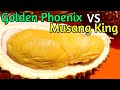 This Store Sell Durians for 55 Years Since 1965: Golden Phoenix VS Musang King @ Combat Durian