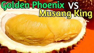 This Store Sell Durians for 55 Years Since 1965: Golden Phoenix VS Musang King @ Combat Durian