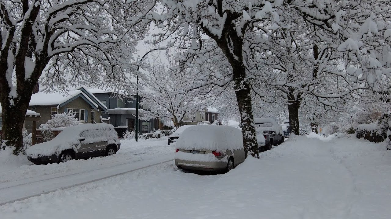 ❄️❄️❄️ WINTER WONDERS: EXTREME SNOW STORM in CANADA