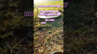 Download Lagu sadar diri itu penting#shorts#motifasidiri#story# MP3