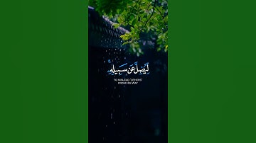حالات واتس جميله راحه نفسيه (واذا مس الانسان ضر) تلاوه هادئه |ايه قصيره ناصر القطامي | ستوريات انستا