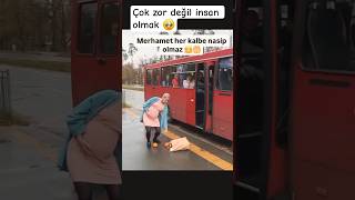 Çokta Zor Değil Insan Olsan Yeter Resimi