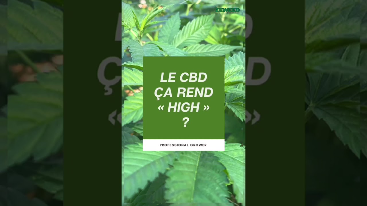 Phytocann nous fait visiter leurs serres... que du bonheur!