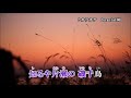 磯千鳥 氷川きよし「南風 の」 miya cover