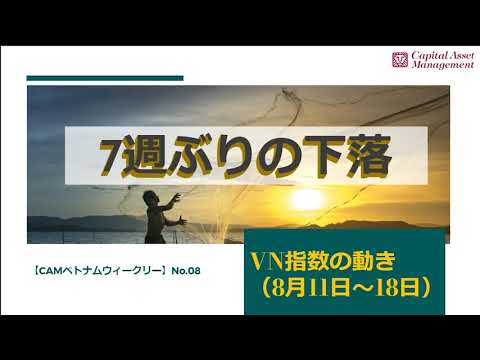 【CAM ベトナム ウィークリー】VN指数の動き No.08（8月11日～18日）