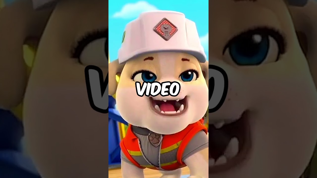 ESTE ES EL PERSONAJE SECRETO DE LOS PAW PATROL 😱