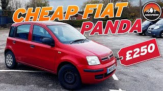 I BOUGHT A CHEAP FIAT PANDA FOR £250